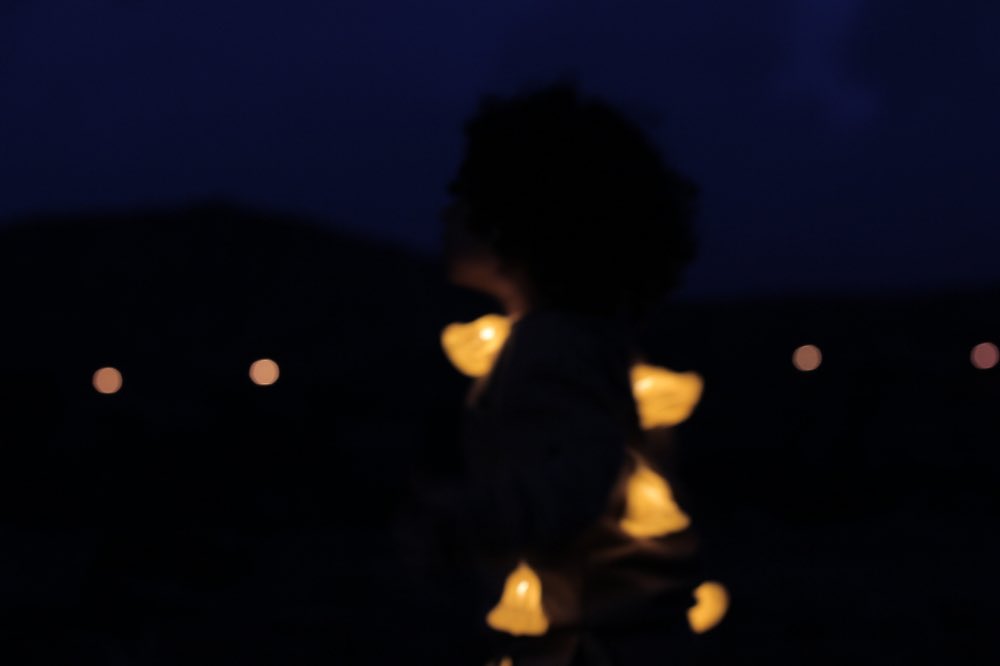 taz11__'s tweet photo. When the moonlight comes … https://t.co/4kvPs3NTpz