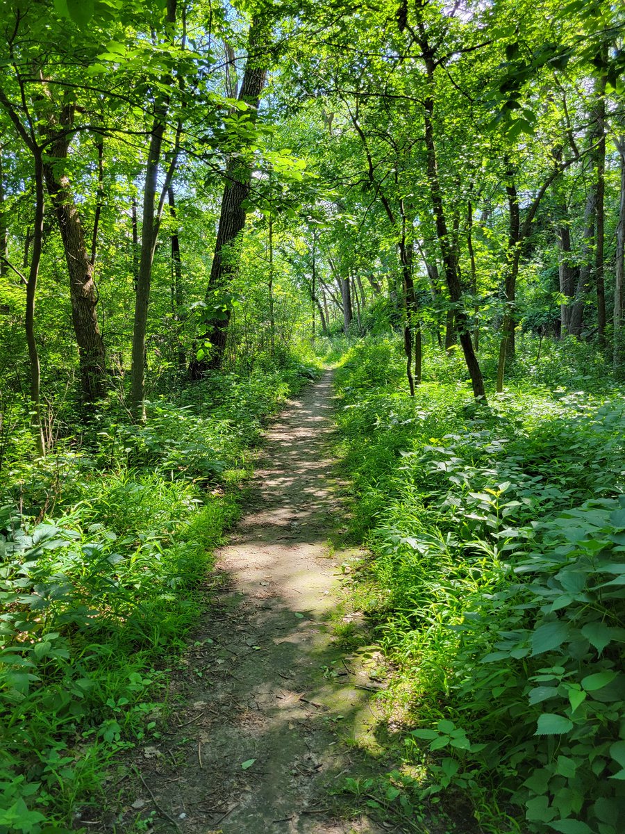 Anderson_KMES's tweet photo. Enjoyed hiking at Frontenac State Park today! https://t.co/npI2aPfd1r