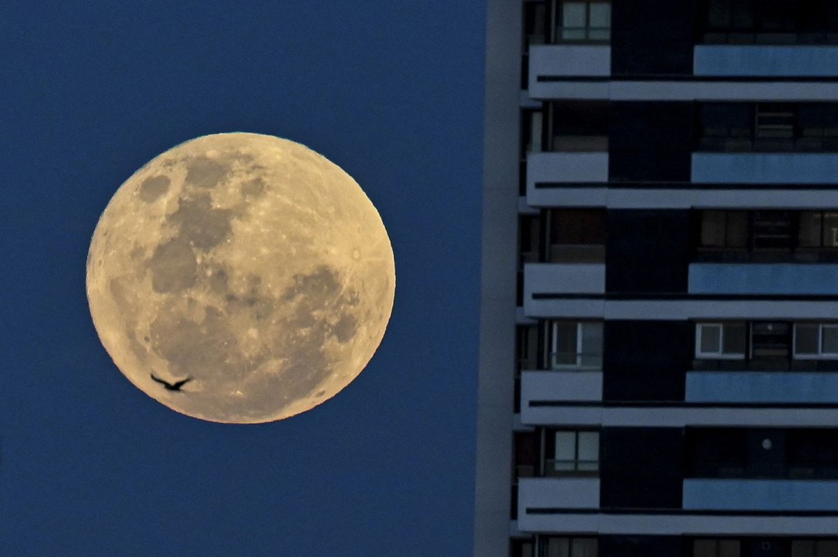 PDChinaLife's tweet photo. A “Supermoon” appeared in the night sky across the world on Wednesday, which is also the “biggest supermoon” this year. Why does the full moon show up in different sizes? What exactly is a “Supermoon”? For more read this: https://t.co/YCMIVJSp3B #CodeofNature https://t.co/jKwoszkWBi