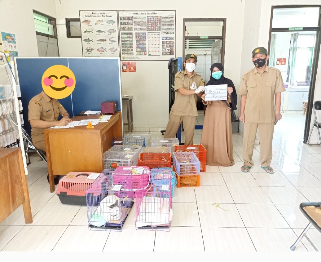 MEMBAWA ANABUL PINDAH PULAU (VIA DARAT+LAUT) 

Dan sekilas perjalanan 15 pasukan bulu (kucing-kucing Keinara) pindahan dari Bogor ke Sumatera Barat

A thread