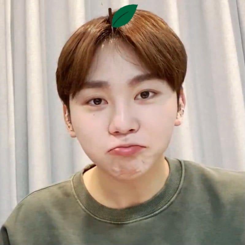 k1dultwonu's tweet photo. rt this boo tangerine to give u a luck for the last day of be the sun tix selling !!! https://t.co/JdwVppavUl