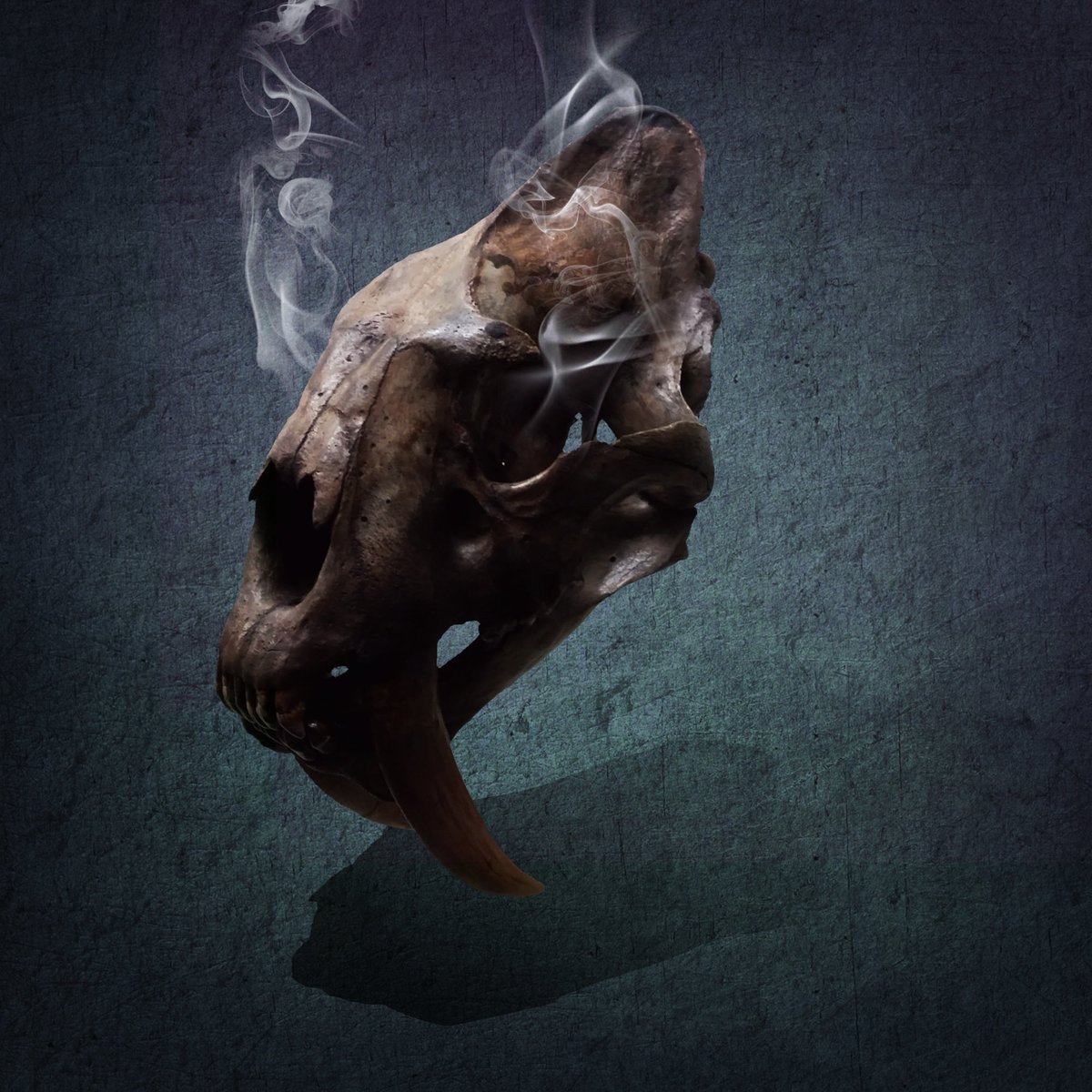 Good morning sexy and crazy people! 

Good morning to everyone else too!

What's on the agenda today? Tell me your master plans.