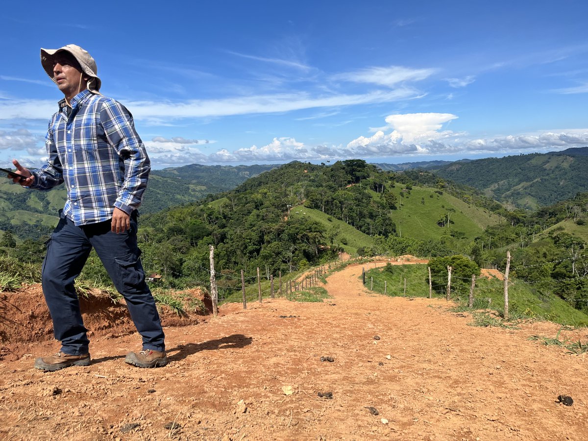 Lara Wagner tweet media