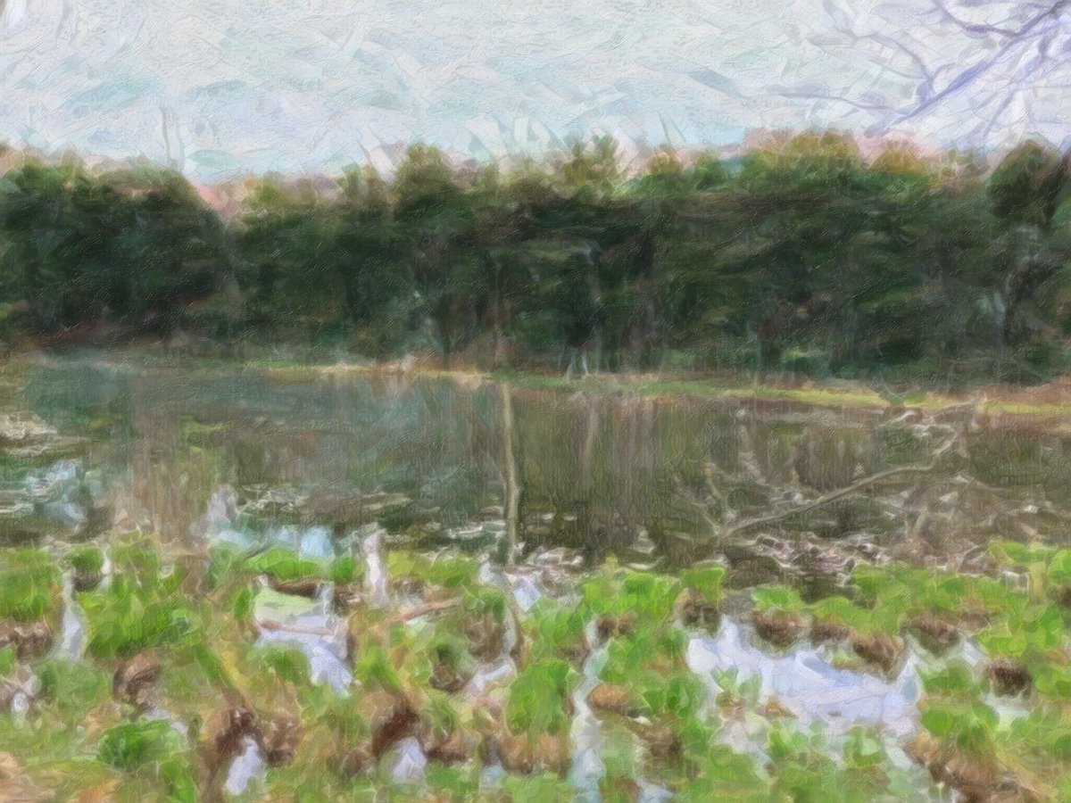 JakartaPirate's tweet photo. A different section of Mt Vernon pond. I have no idea where I was going when I took this photo. #Mobilism #UberFiles #uber #UberArt #Art #ArtistOnTwitter https://t.co/IwTkrEdF7l