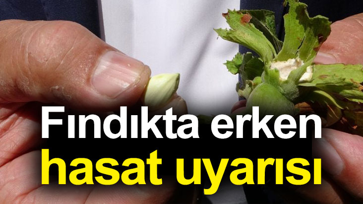 Fındıkta erken hasat uyarısı
findiktv.com/findikta-erken…
