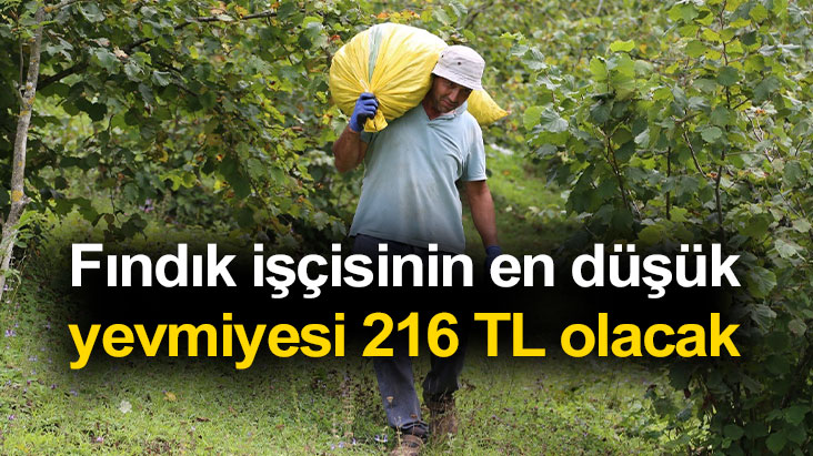 Fındık işçisinin en düşük yevmiyesi 216 TL olacak
findiktv.com/findik-iscisin…