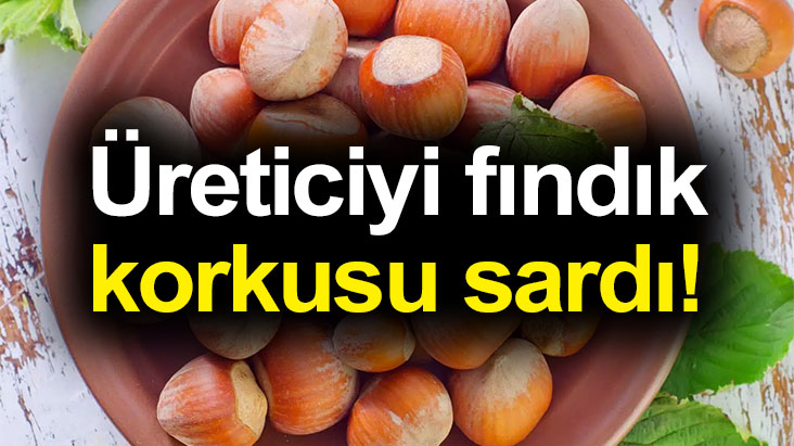 Üreticiyi fındık korkusu sardı!
findiktv.com/ureticiyi-find…