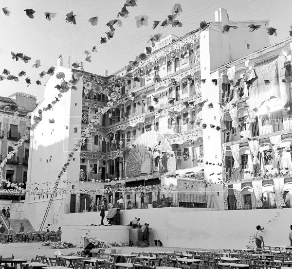 Adrián | Gato por Madrid 😺 tweet media