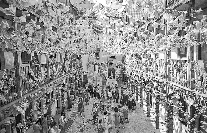 Adrián | Gato por Madrid 😺 tweet media