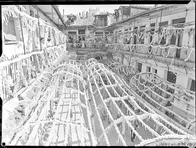 Adrián | Gato por Madrid 😺 tweet media