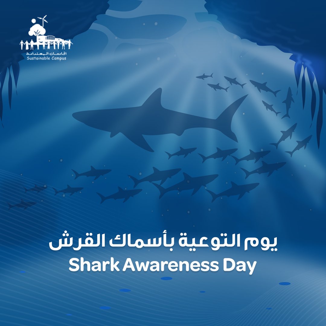 SCITweetss's tweet photo. In #SharkAwarenessDay we highlight the importance of these keystone species in the marine ecosystem, meaning that it plays an important role in maintaining the health of the entire food chain.

#EnvironmentAbuDhabi
#SustainableCampus https://t.co/08VJF3OR4y