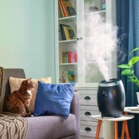 MumsDelivery's tweet image. “Do humidifiers even do anything? Do they make any noticeable difference? Are they worth the investment?”

#humidifierworks #allabouthumidifier #humidifier101 #doineedahumidifier #dryair #humidityathome 

mumsdelivery.com.au/do-humidifiers…