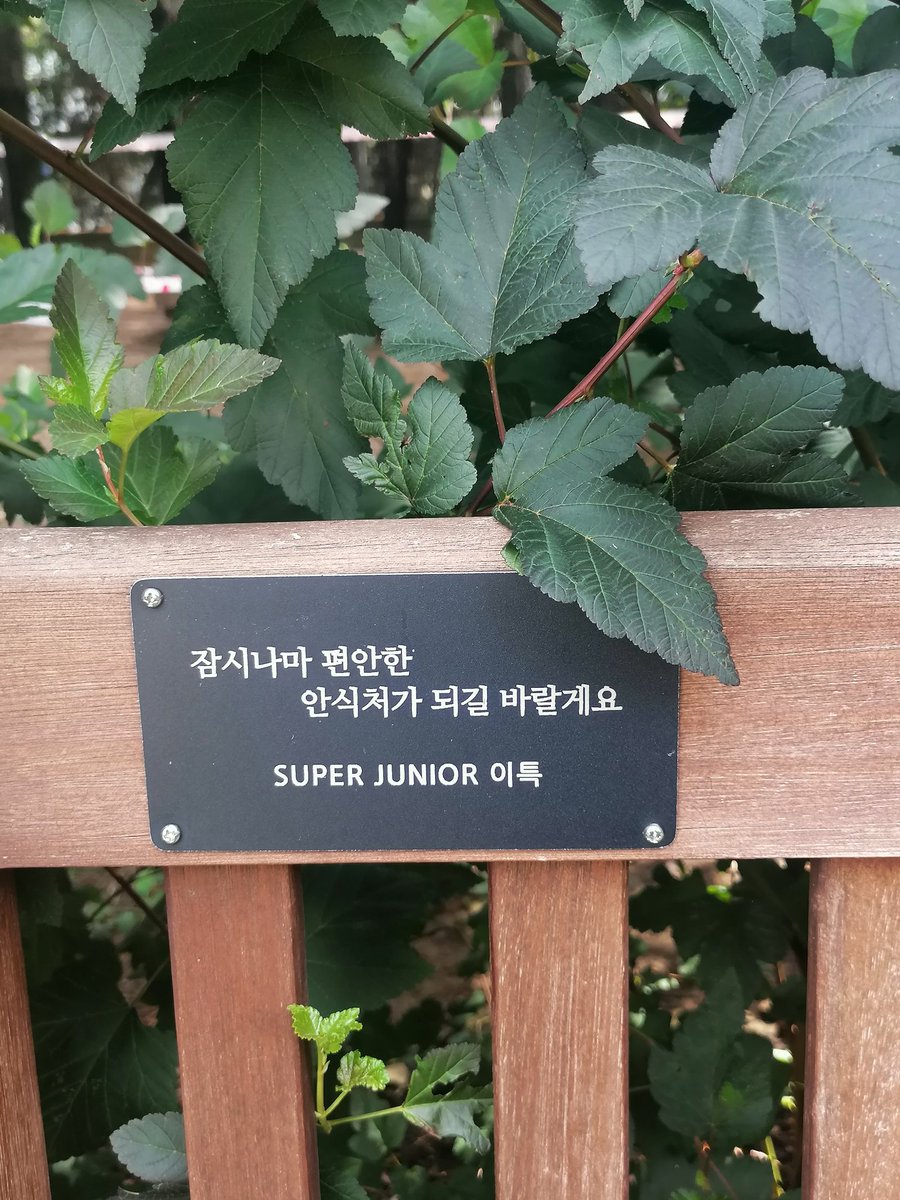 DailyLeeteuk's tweet photo. Saw Leeteuk's bench at Seoul Forest 💙
#슈퍼주니어 #SUPERJUNIOR
#SUPERSHOW9 #SS9 #이특 https://t.co/iJUGovBfmw