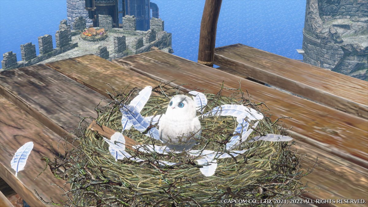 shizm4's tweet photo. #モンハンライズ #MHRise #モンハン #NintendoSwitch https://t.co/nkUHJPigsg