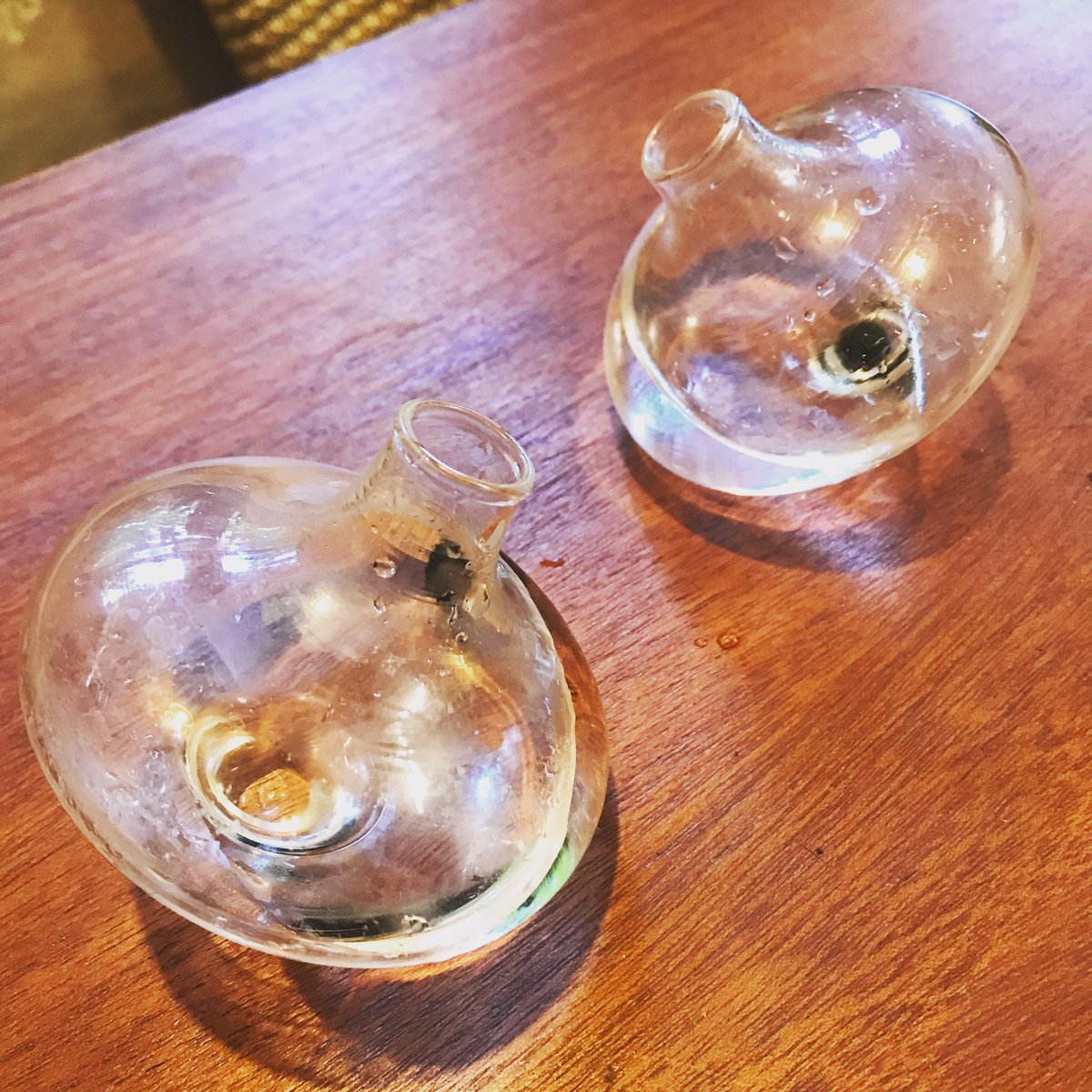 JYparadoxchild's tweet photo. #moss #mossballs #mossballpets #marimo #marimomossball #marimomossballjar #mosstokuk #mosstok https://t.co/CSpSd2LDlo