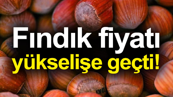 Fındık fiyatı yükselişe geçti!
findiktv.com/findik-fiyati-…
