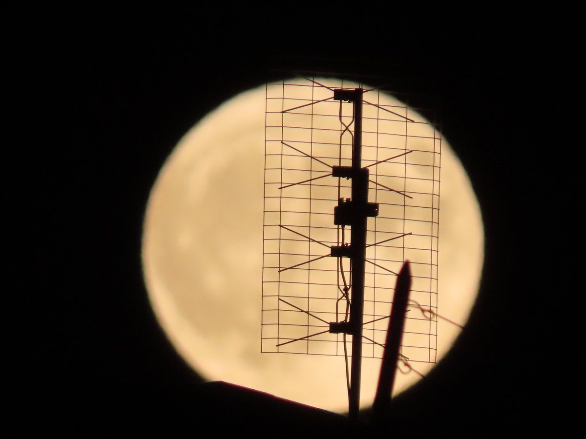 AntoStel's tweet photo. @nikarmelo In realtà nessuno.
Non ho una reflex, né una mirrorless. Solo una normale bridge della #Canon. La SX70.
Sensore modesto ma zoom soddisfacente😊
#supermoon
#superflua
#Roma https://t.co/UN0FHfdSyq