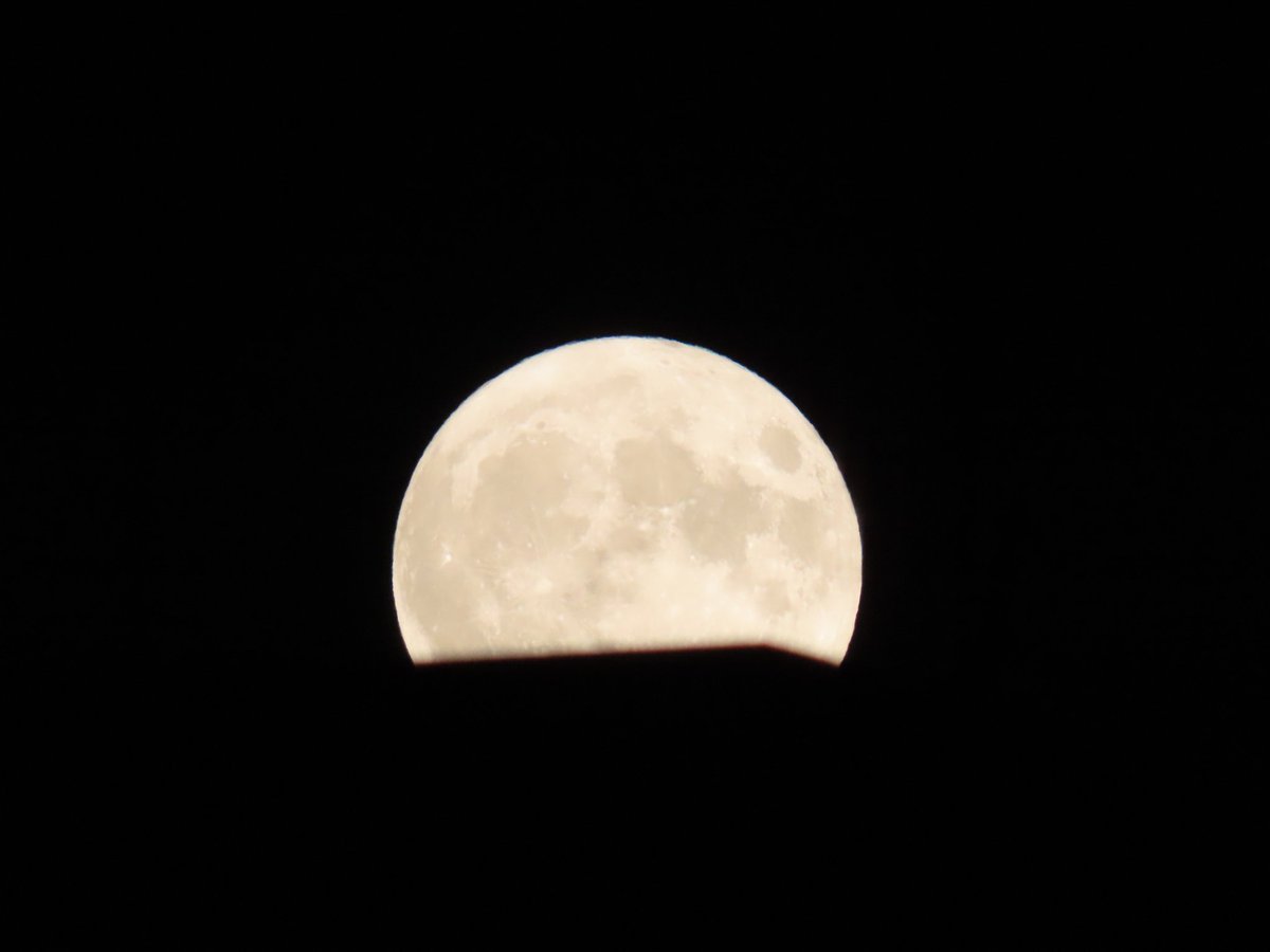 AntoStel's tweet photo. @nikarmelo In realtà nessuno.
Non ho una reflex, né una mirrorless. Solo una normale bridge della #Canon. La SX70.
Sensore modesto ma zoom soddisfacente😊
#supermoon
#superflua
#Roma https://t.co/UN0FHfdSyq