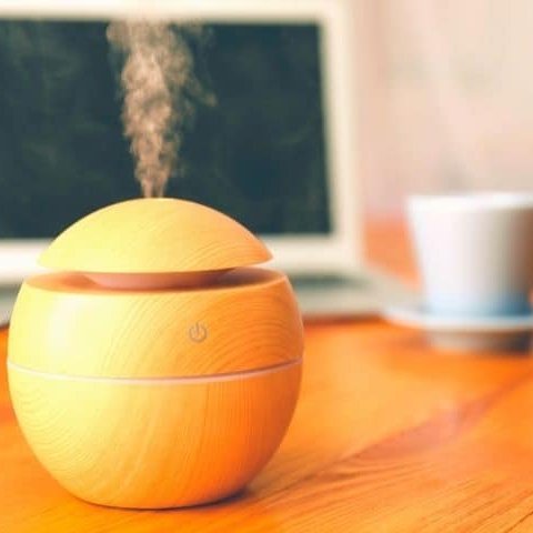 MumsDelivery's tweet image. Let's talk about humidifiers this time.

Here's an answer to a common question: There is NO difference between a humidifier for your baby room and a humidifier for adults!

#humidifierworks #allabouthumidifier #doineedahumidifier #humidityathome

mumsdelivery.com.au/do-humidifiers…