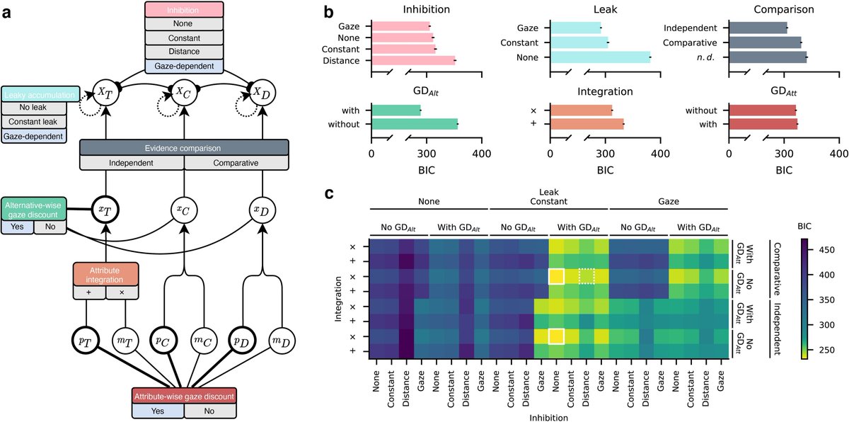 moltaire's tweet photo. Finally, we ran a large switchboard analysis 🎛 to test individual model mechanisms and novel✨ hybrid  variants. Gaze-dependence remained the crucial feature. A variant combining mechanisms from context-effect models with gaze-dependence also captured strong attraction effects. https://t.co/kqXOp41ObS
