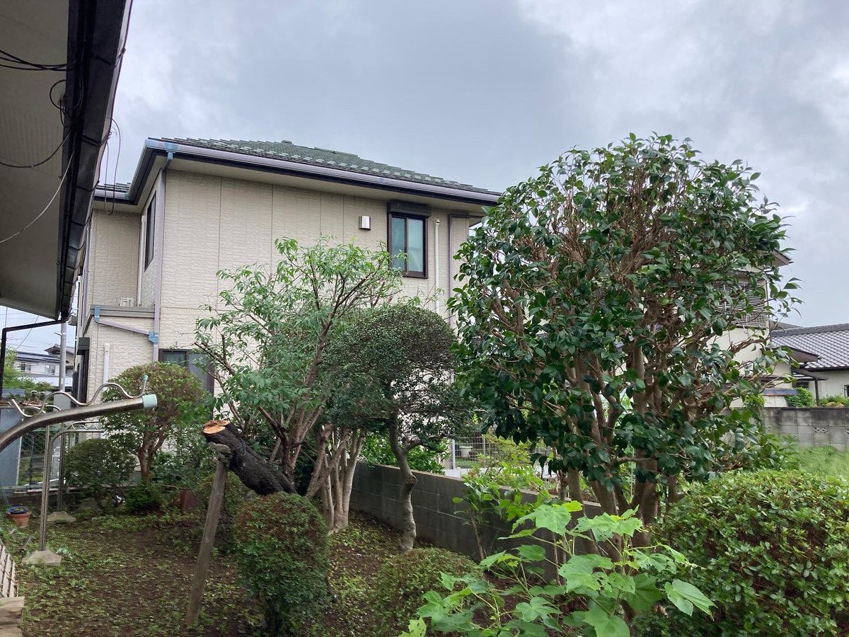yanoteien's tweet photo. 2022.07.13
より2日間千葉県千葉市若葉区にて空き家の剪定作業でした。
最終日はラーメン🍜食べました。
お疲れ様でした。
#矢野庭園 #造園業 #植木 #剪定 #ラーメン #ラーメン一代 #ネギチャーシューメン #現場飯 https://t.co/fwySeCijpQ