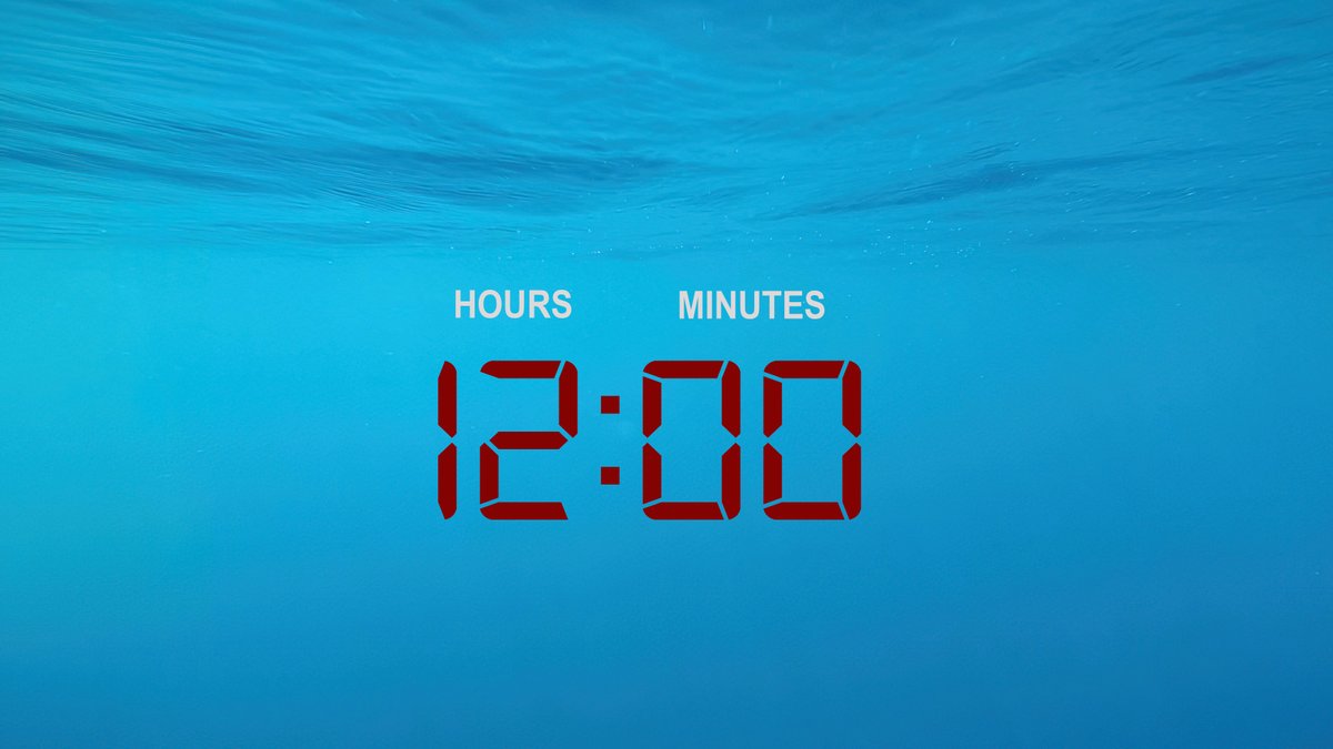 Dr Ingrid N. Visser (PhD) tweet media