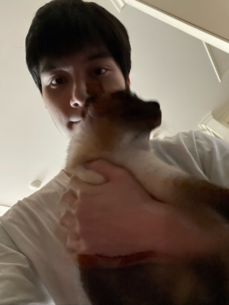 bubble_nctwayv2's tweet photo. 12072022 (4:34 PM KST) #WAYV #HENDERY bubble update

[IND TRANS]
Kayaknya keahlian fotografi ku udah meningkat

Itu agak susah nyoba ngambil foto dengan yang satu ini https://t.co/1qqlVfqp4G
