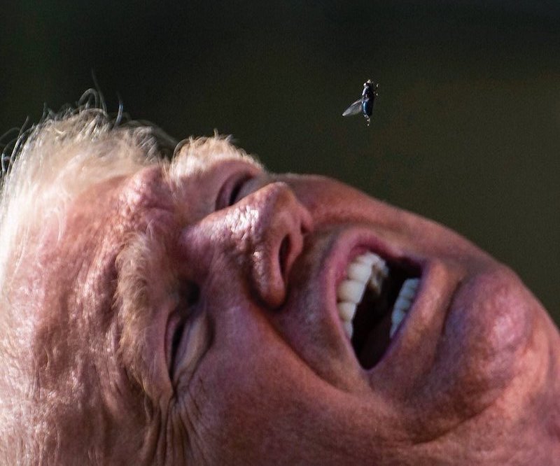 David.AsTheBoy tweet media