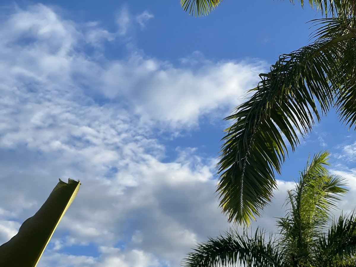 LA_Ron2's tweet photo. I Took These In Jamaica & If I Should Say So Myself I Did Pretty Good #Jamica #OceanCoralSpring https://t.co/rxwDXoODOJ