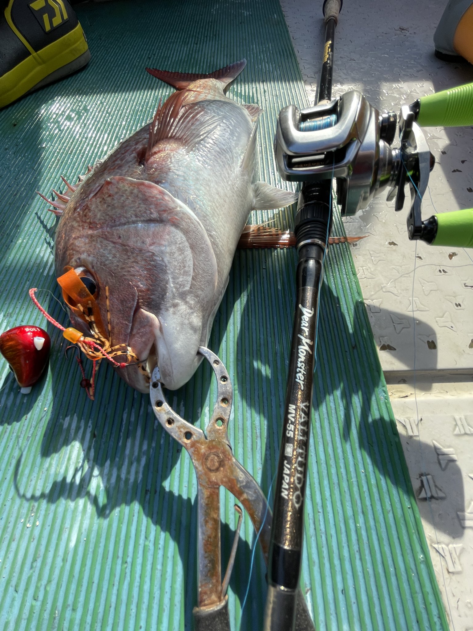 モンスターキス ディアモンスター MV-55