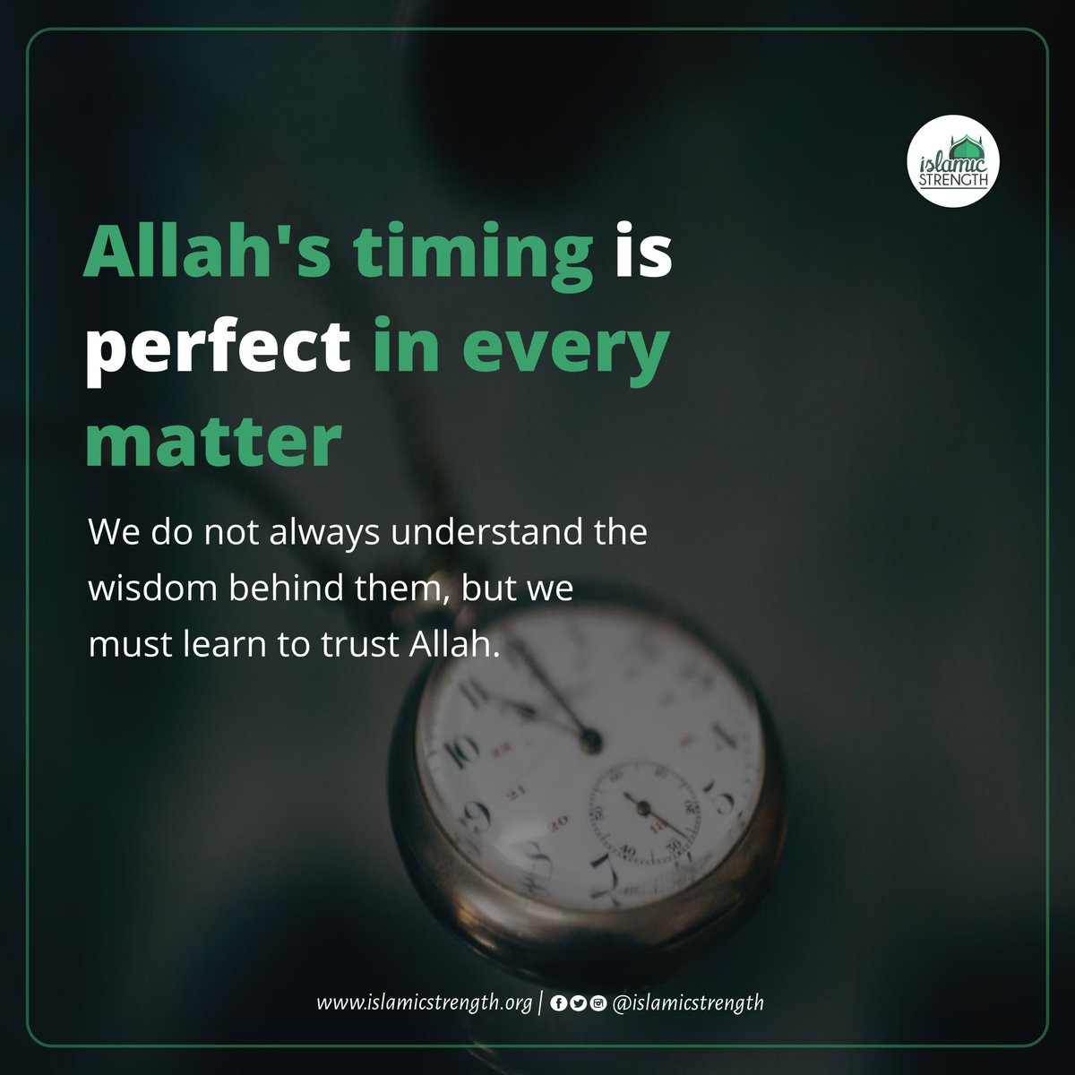 RukhsarRayeen's tweet photo. https://t.co/YoqApymFLX