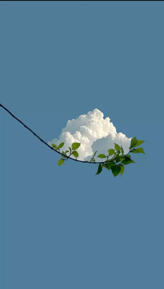 Mizuski's tweet image. Esta imagen me parece muy uwu, if you ask me.