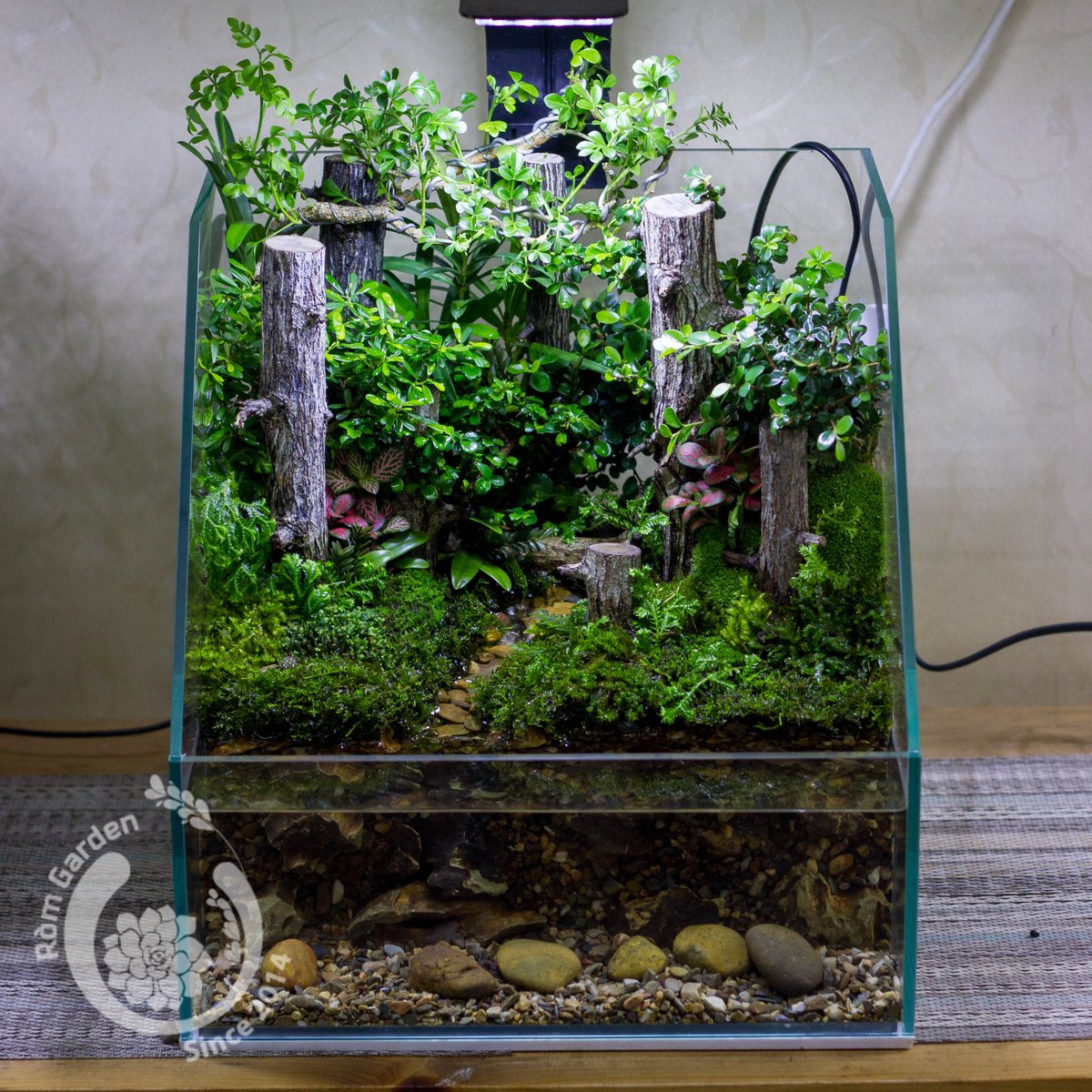garden_rom's tweet photo. Bán cạn rừng và suối
setup by https://t.co/VL5y7SMKpa
274/7b Nguyễn Văn Đậu - Bình thạnh - Sài Gòn https://t.co/W66ufVQ4A9
