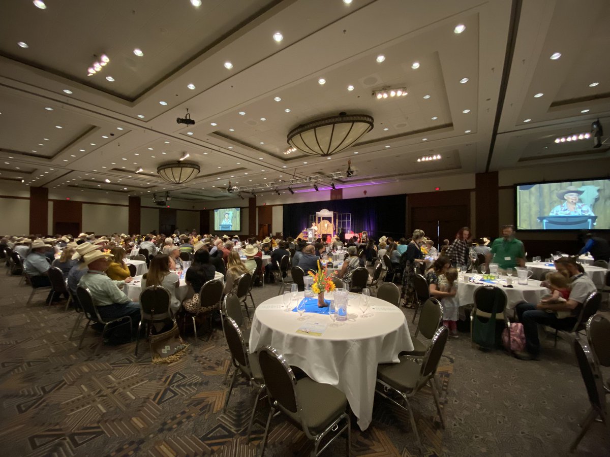 Chrys Tan tweet media