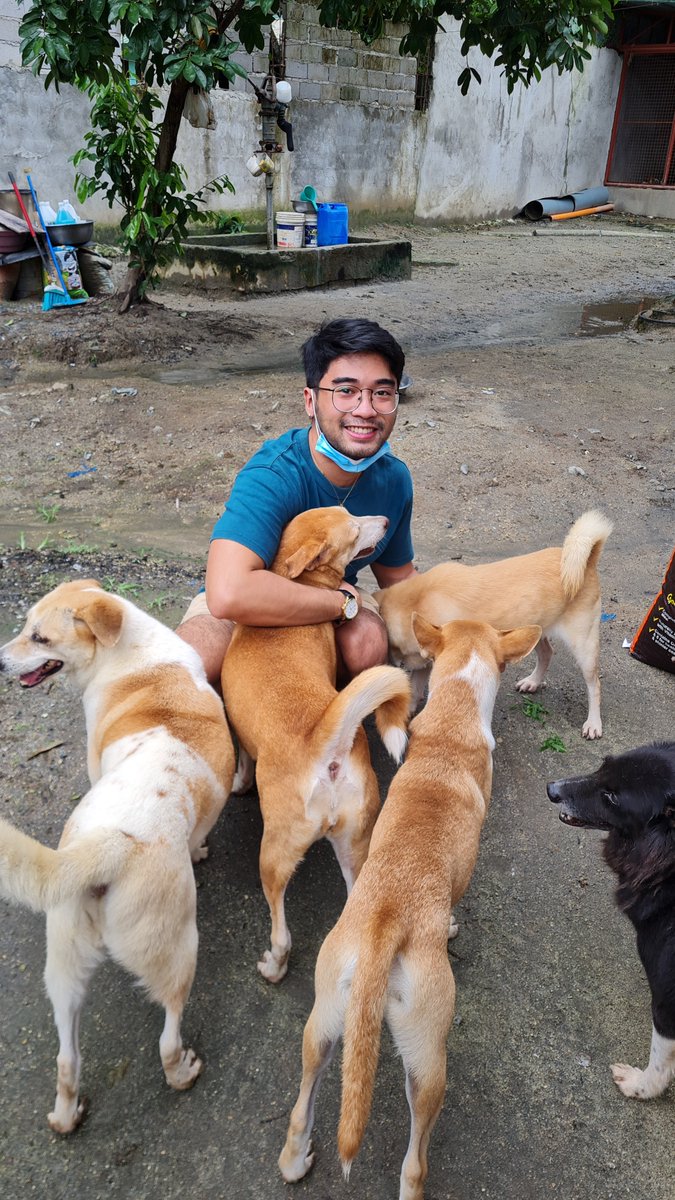 k24585z's tweet photo. The Homeless Dog Shelter - Subic is hoping to raise funds for food supply needs. The shelter needs your help in order to provide food for the rescue dogs. You can help a dog today 🐶

For in-kind donations: 12 Mangan-vaca, Subic, Zambales

(1/2) https://t.co/ej3VftEC7a