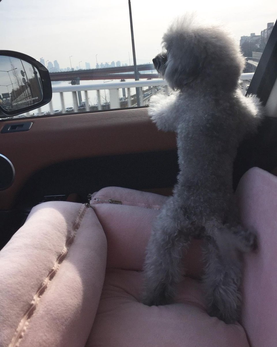 KYRSYJ's tweet image. [INSTAGRAM] 220714 dooeyuri: 비도 오고 그래서 ~ 난 ~ 

#DooE
#출근길