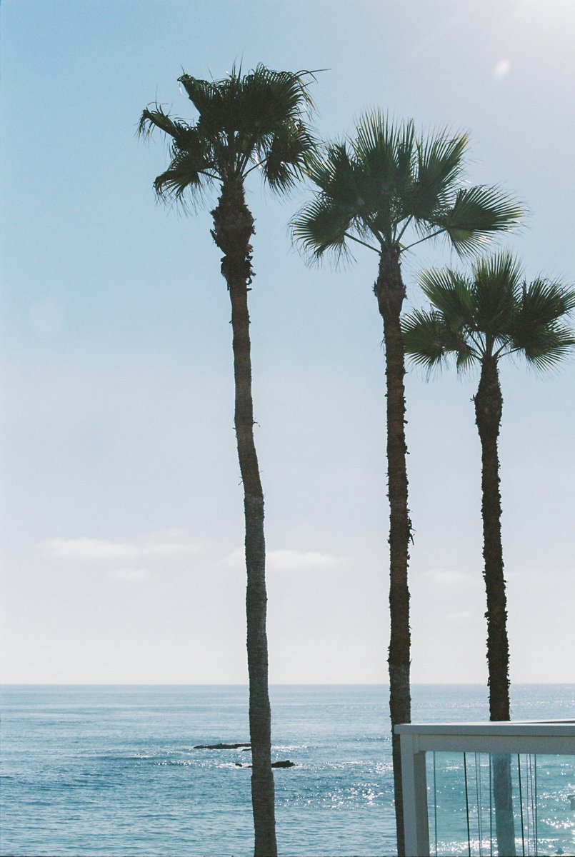 caprilaguna's tweet photo. Sea gazing #caprilaguna https://t.co/Rwfvp1Fwrs