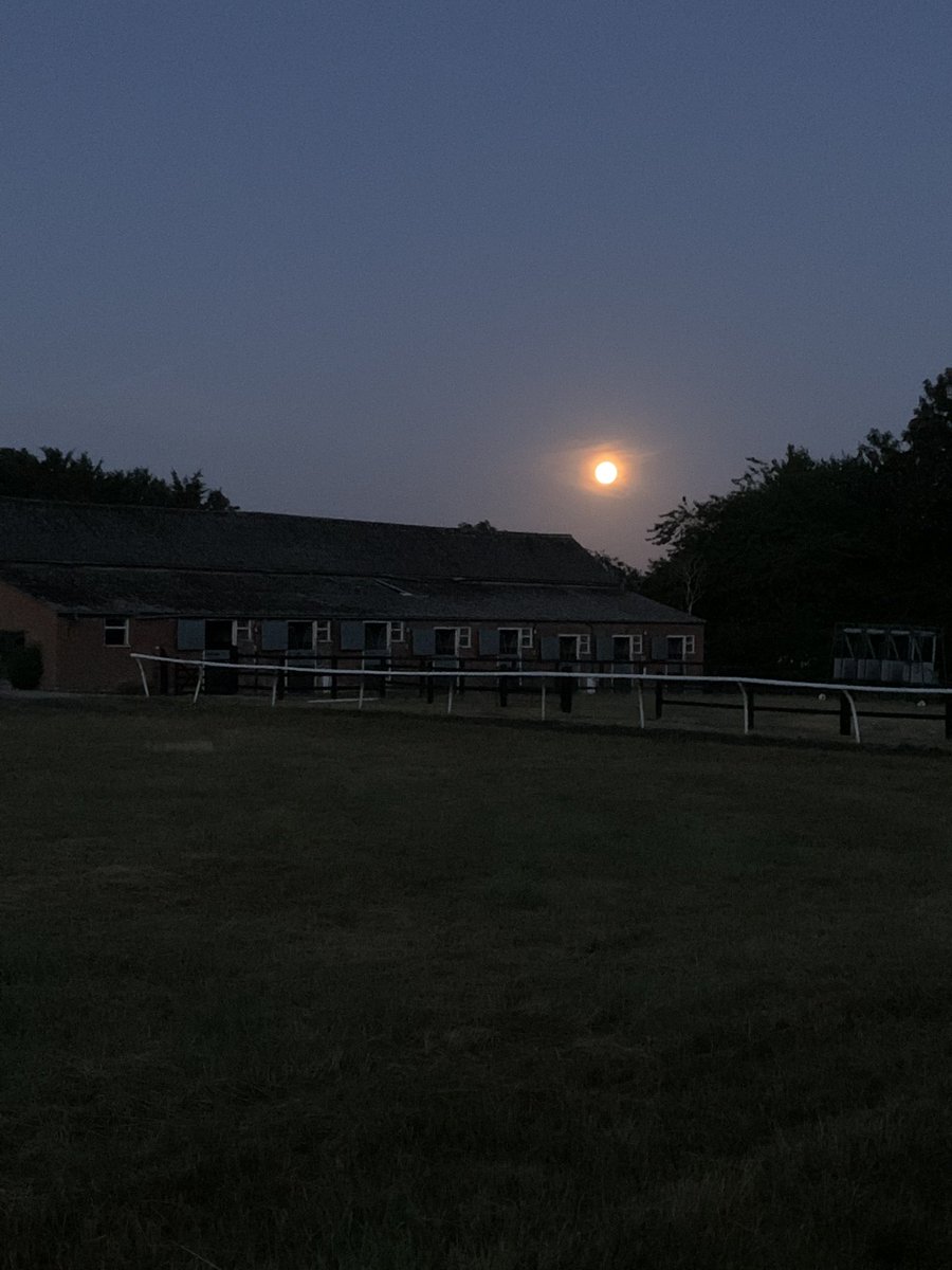 dylancunha_uk's tweet image. What a way to start the day🌙🐴🌝🏇#horsracing #morningmoon #teamworkmakesthedreamwork #dowhatyoucant