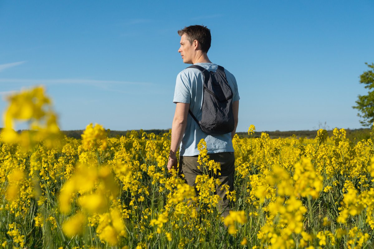 It is a helpful companion that will save the day, every day! Launched in 2012, our mini backpack has been refined several times, and now features supreme comfort and superb functionality. #KeepYourFeetOffTheGround

Check it out 👇👇
ticketothemoon.com/eco-backpack/m…