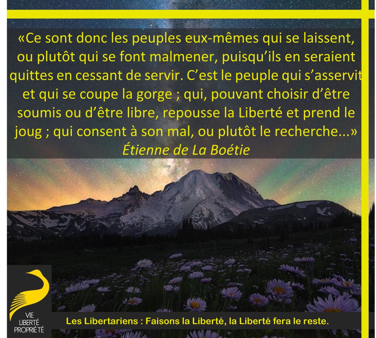 StephaneGeyres's tweet photo. Ce sont donc les peuples eux-mêmes qui se laissent, ou plutôt qui se font malmener, puisqu'ils en seraient quittes en cessant de servir.
#Tyrannie #Léviathan #Asservis #Moutons #Révolte #Passifs #ÉtienneDeLaBoétie
Libéral #Libéralie #Sécession https://t.co/WNGhpgpnj7