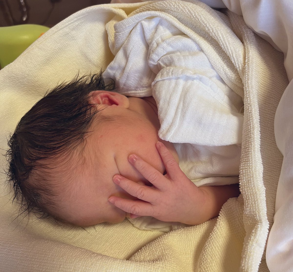 ろぴお (@6wolves6) / Posts / X