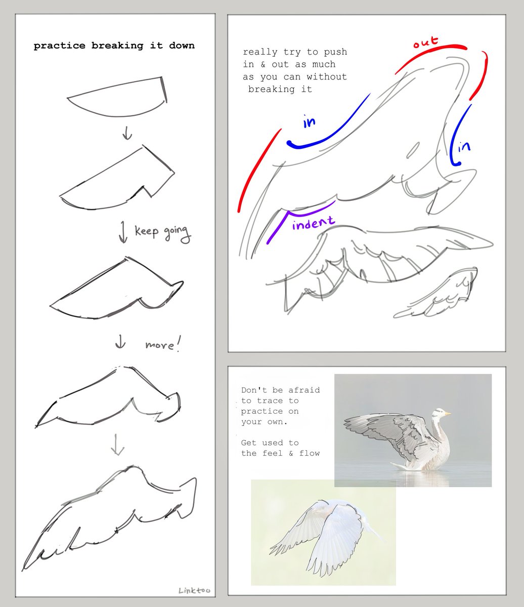 finally put together my thoughts and notes on how I draw wings! 