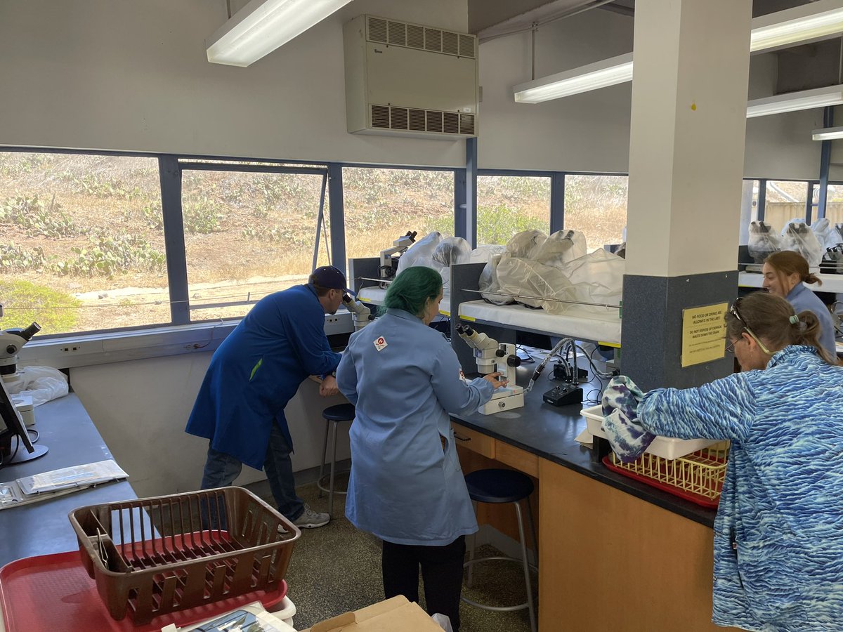 jcamthrash's tweet photo. High school teacher professional development workshop on marine micro and dissolved oxygen dynamics, day 2 @USCWrigley #USC_JEP #NSFfunded https://t.co/Vujh6v7VqA