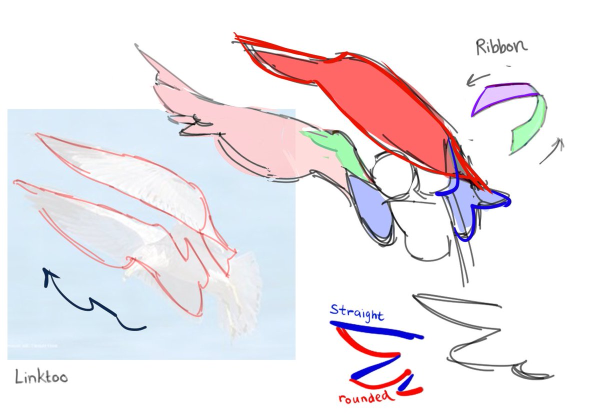 finally put together my thoughts and notes on how I draw wings! 