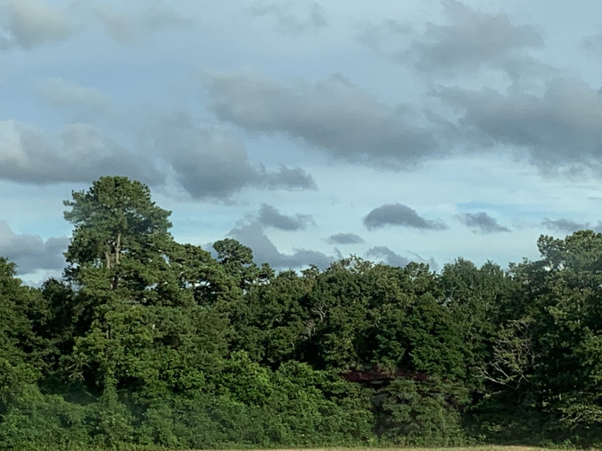 S70265308Brenda's tweet photo. I love taking pictures of the most amazing views I see. #NaturePhotography #NatureBeauty #naturelovers #Nature #NatureIsCalling #naturephoto https://t.co/Fj2Vgqp4xf