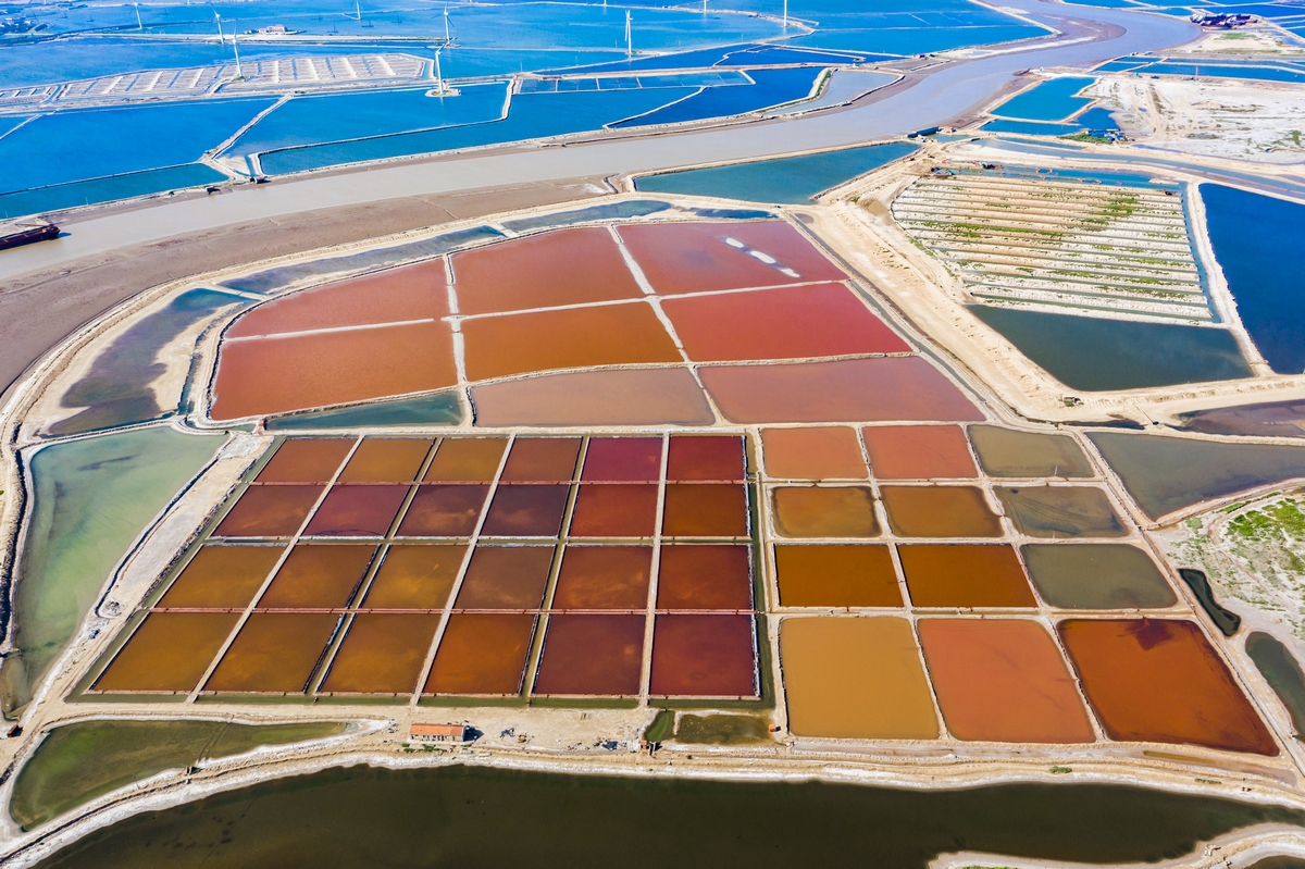 TouchShandong's tweet photo. Feast your eyes with the #colorful #saltfields in Shuigou Village, Binzhou, China’s #Shandong province. Due to differences in salinity and evaporation rates, the fields present a unique #landscape of brilliant #colors, like a #palette spreading across the land. #travel #scenery https://t.co/MUy54NstJz