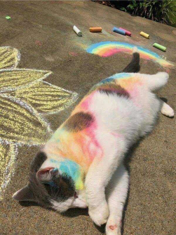 CaptainHanami's tweet image. ✨Hilo recopilatorio de todos los AUs que he subido aquí a Twitter✨