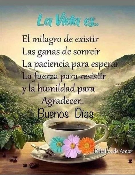 pvbouilly's tweet image. 