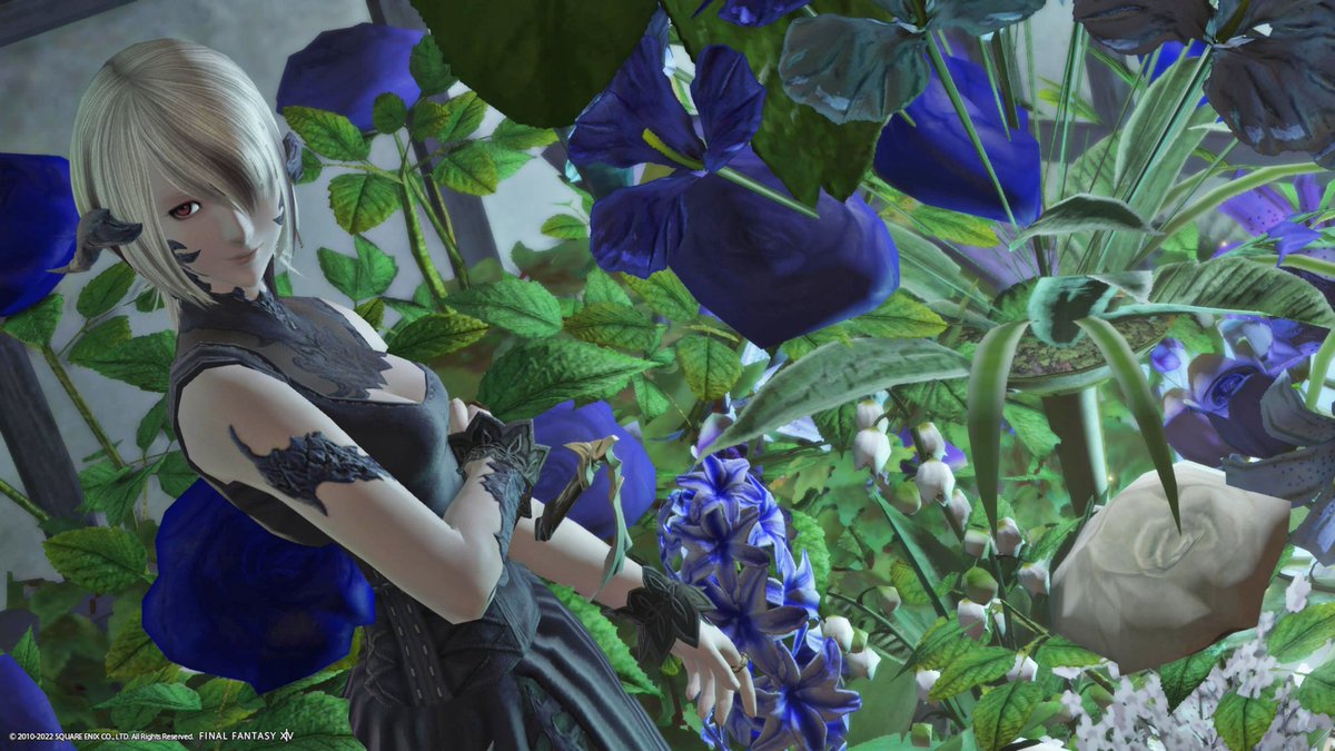 ff14_6ovo9's tweet photo. #FF14 #XIV_PICTCLIP #studio_RuL https://t.co/H5OHbCC8OO