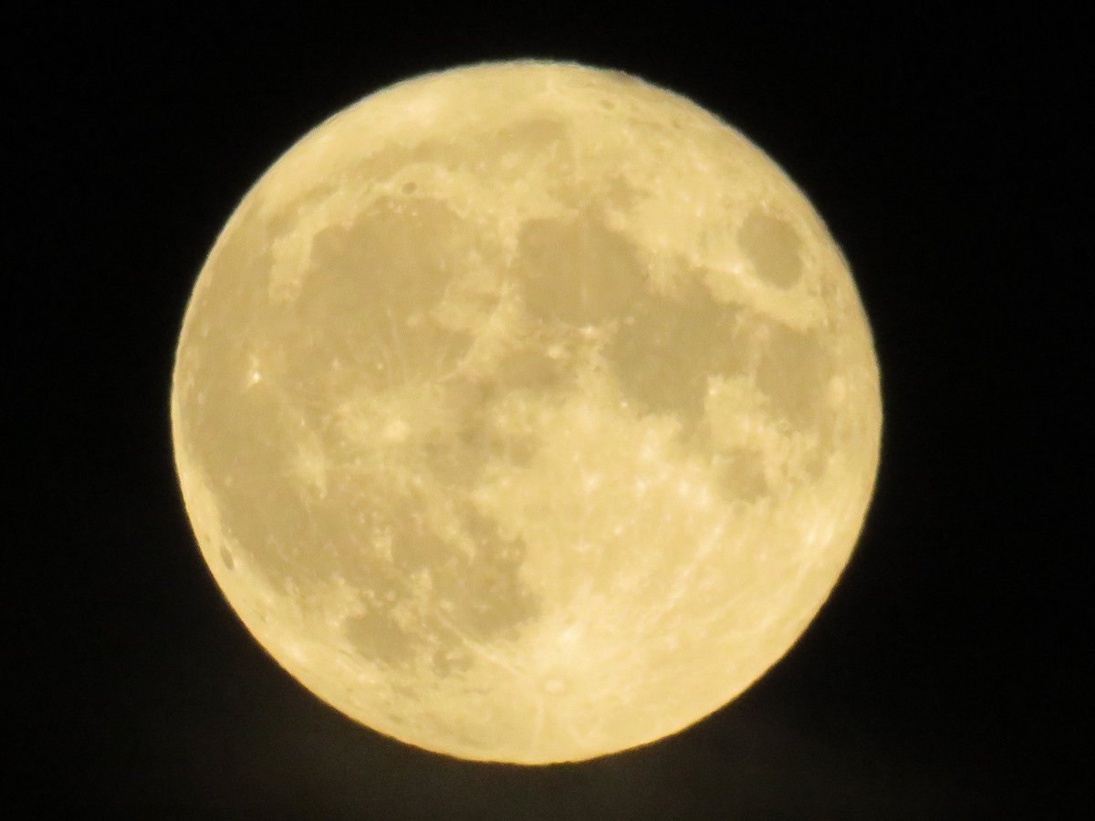 coachpam2's tweet photo. Full moon in Capricorn🌙! #BuckMoon #superfullmoon #supermoon #fullmoon #thundermoon #berrymoon #raspberrymoon #julyfullmoon https://t.co/FHryiARi07